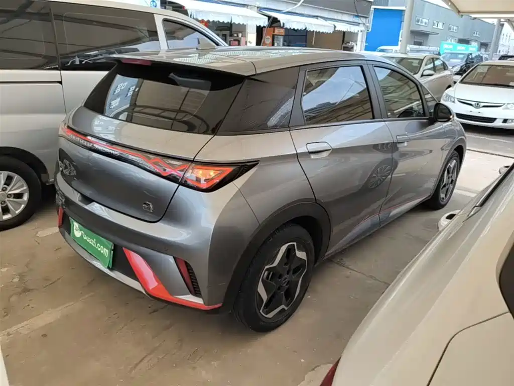 BYD Dolphin 2021 Model 405km Fashion Edition фото 7