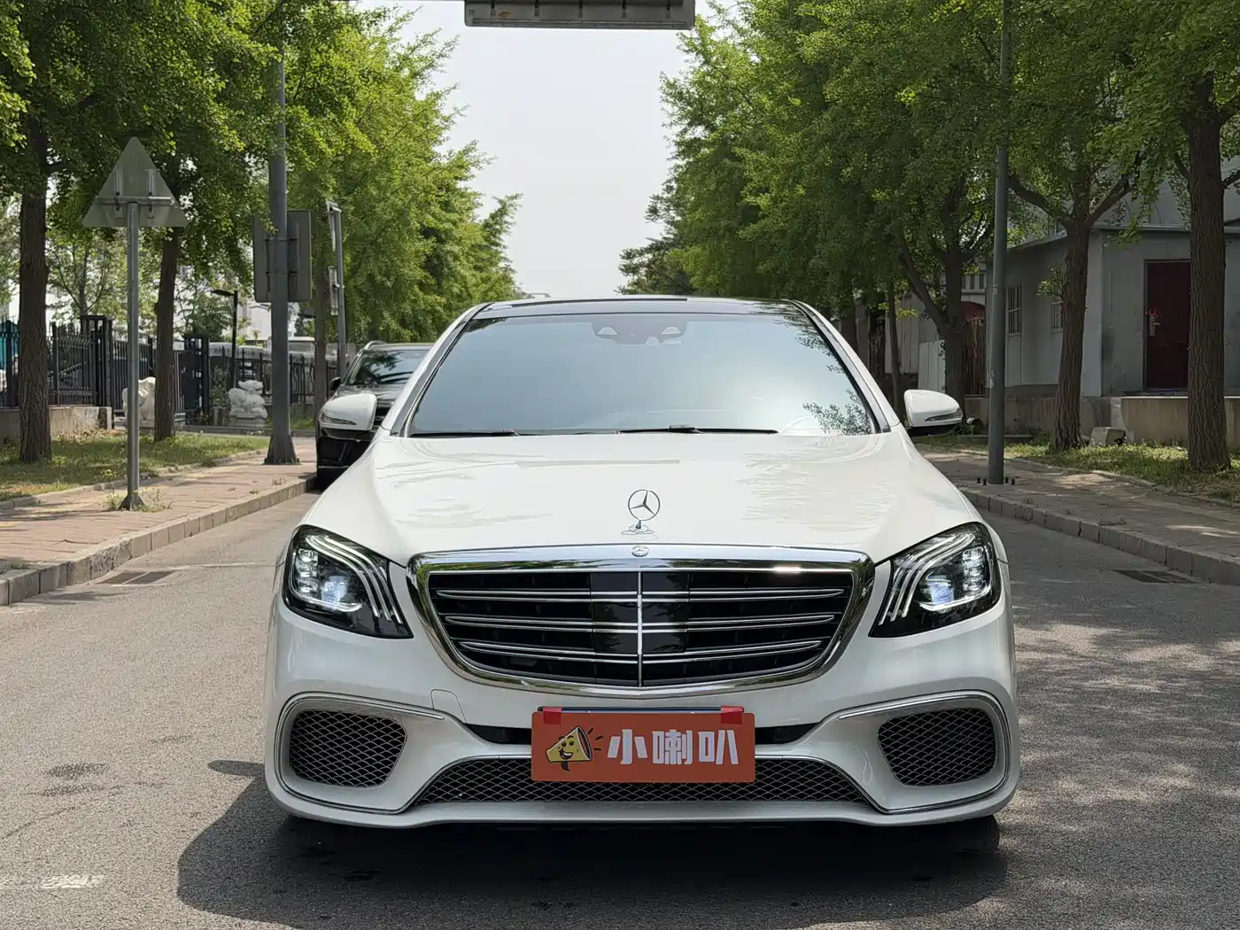 Mercedes-Benz S-Class 2016 S 320 L Luxury фото 3