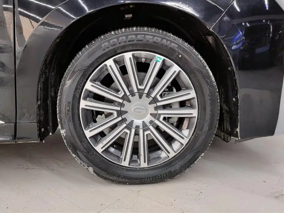 GAC Trumpchi Trumpchi M8 2021 Leading Show Series 390T Prestige Edition фото 6