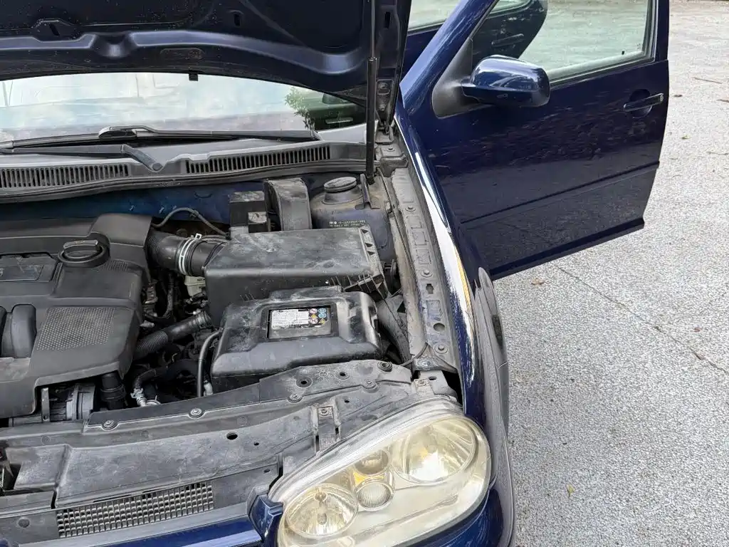 Volkswagen Golf 2006