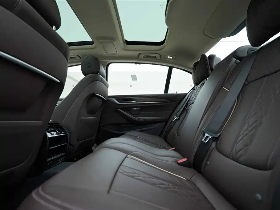 BMW 5 Series New Energy 2020 530Le Range Upgrade Luxury Package фото 20