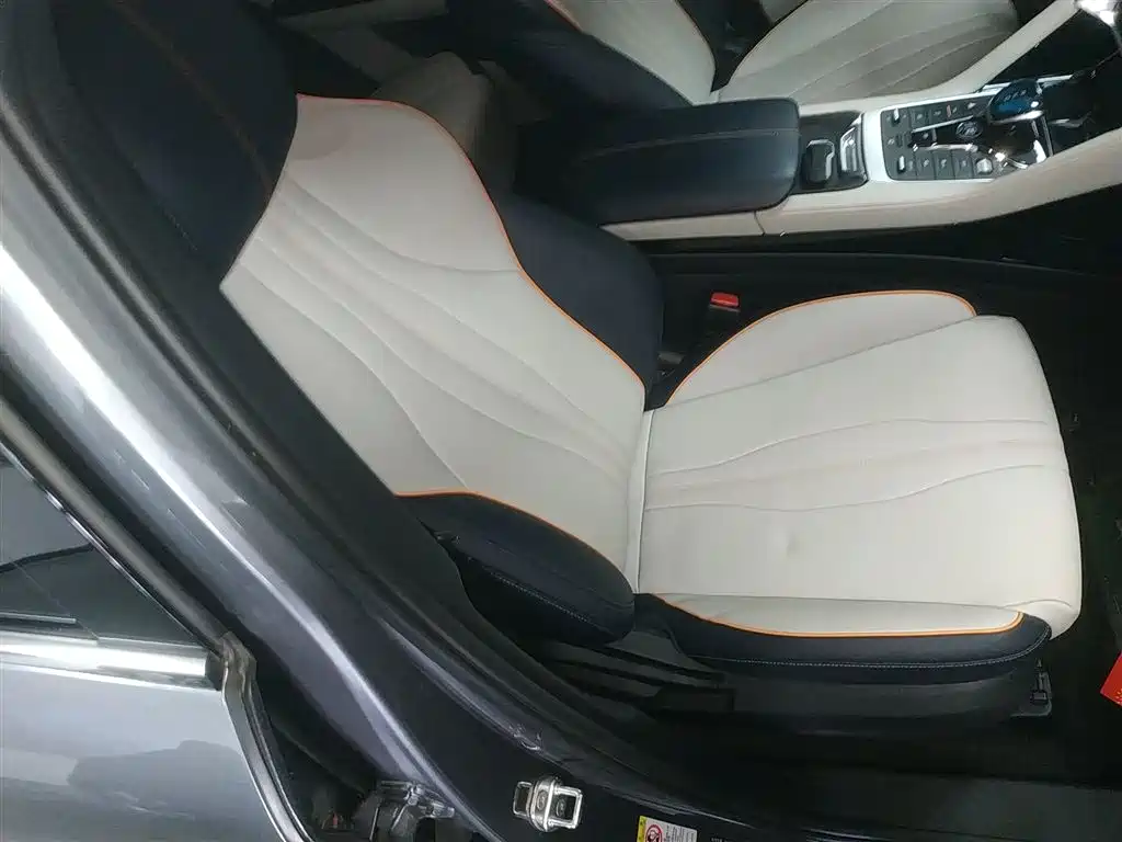 BYD Song PLUS PHEV 2021 DM-i 110KM Flagship фото 20