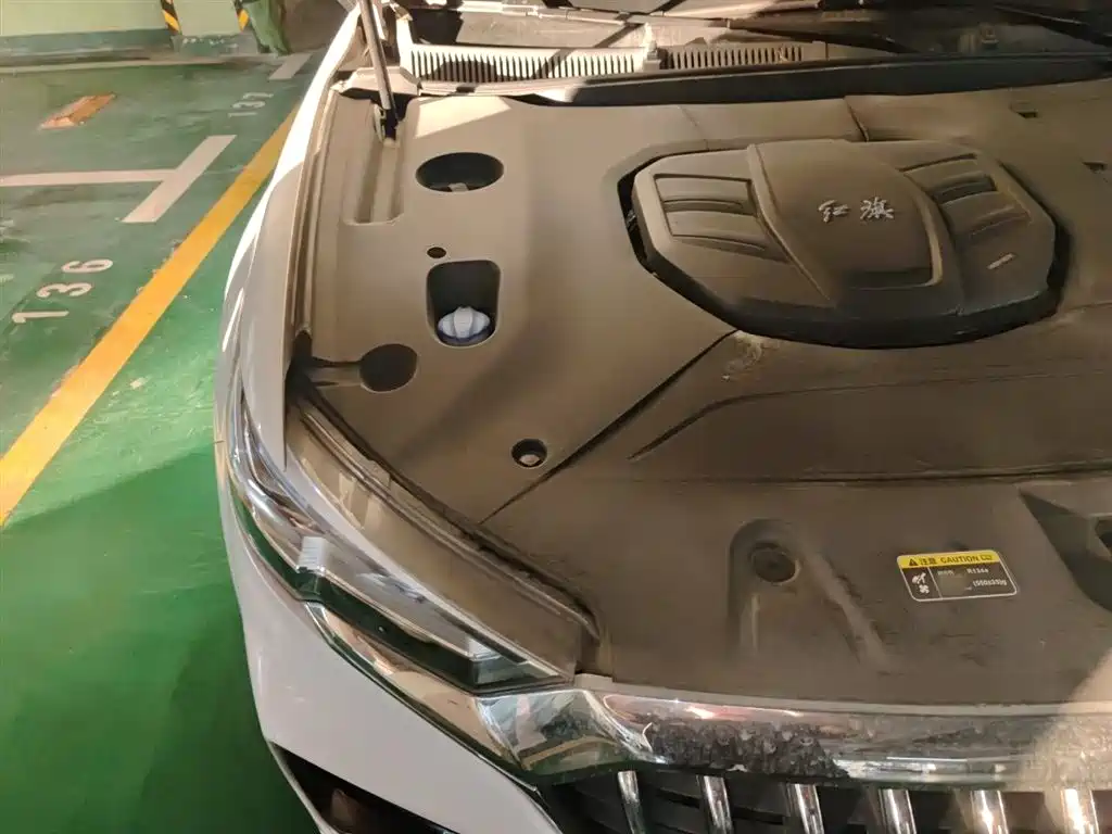 Hongqi HS5 2019 2.0T Smart Connect Enjoy Edition фото 21