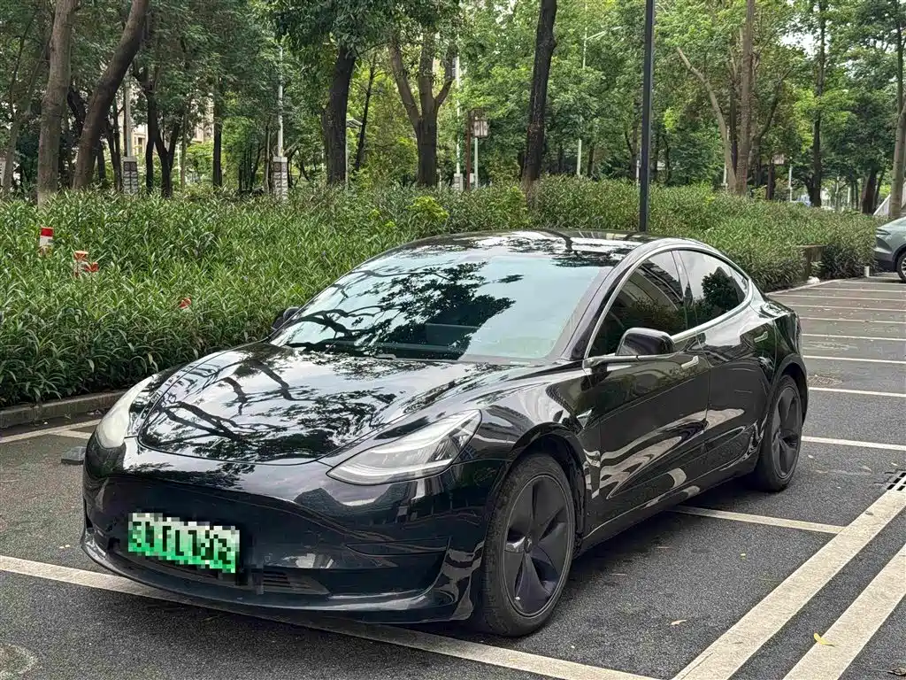 Tesla Model 3 2020 Standard Range Rear-Wheel Drive Upgrade