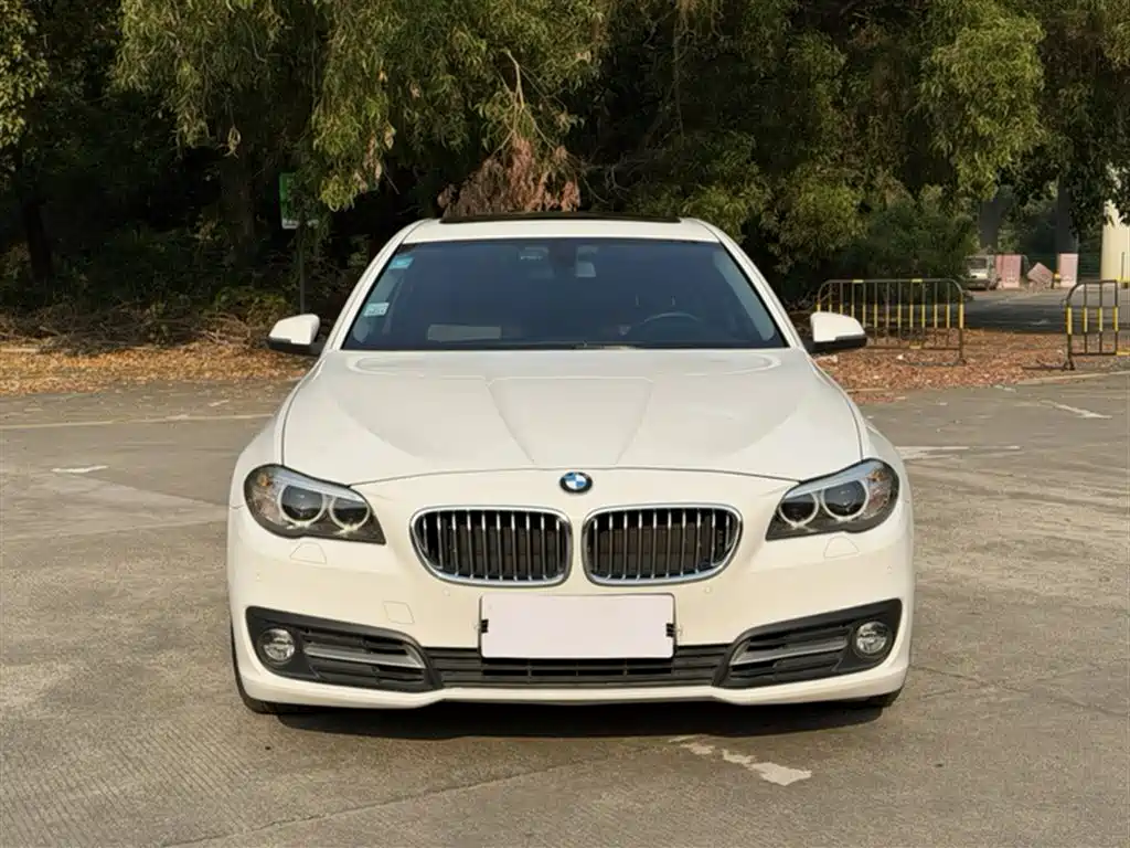 BMW 5 Series 2014 525Li Leading фото 25