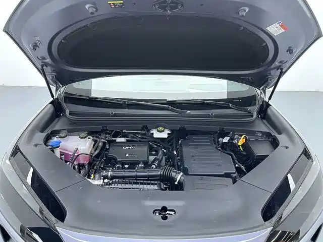 BYD Sealion 06 New Energy 2025 2025 DM-i 170 Pilot Plus Edition