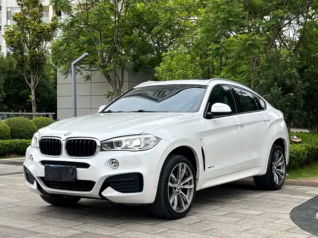 BMW BMW X6 2018 xDrive35i Leading Model