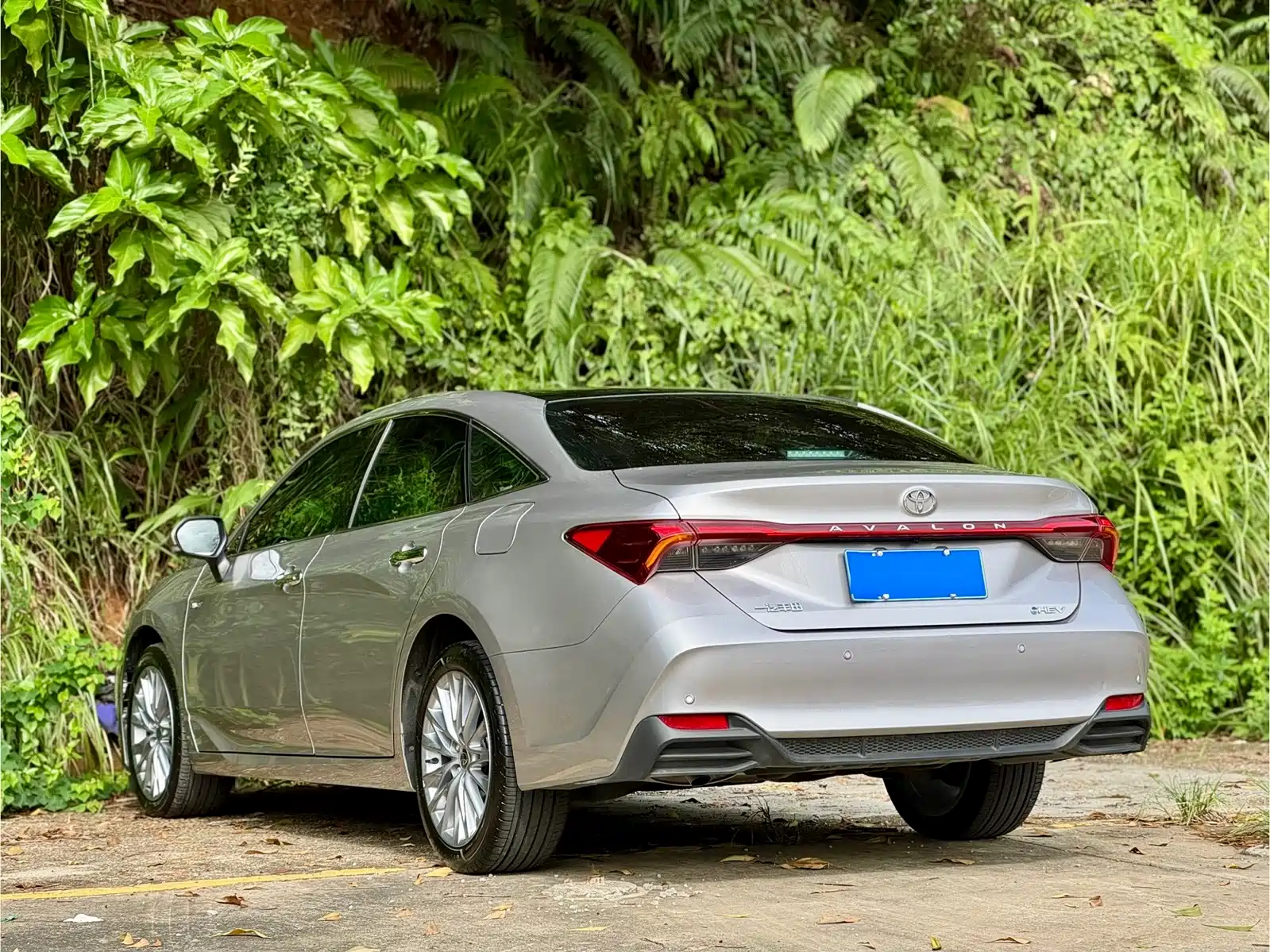 Фото 4 - Toyota Avalon