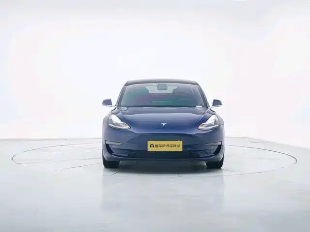 TESLA MODEL 3 (IMPORTED)