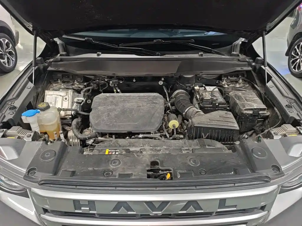 Haval Big Dog 2025 2024 1.5T DCT Border Collie Edition
