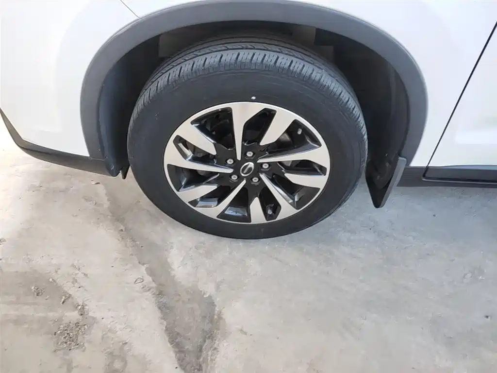 GAC Trumpchi Trumpchi GS4 2018 200T G-DCT 2WD Comfort Edition фото 23