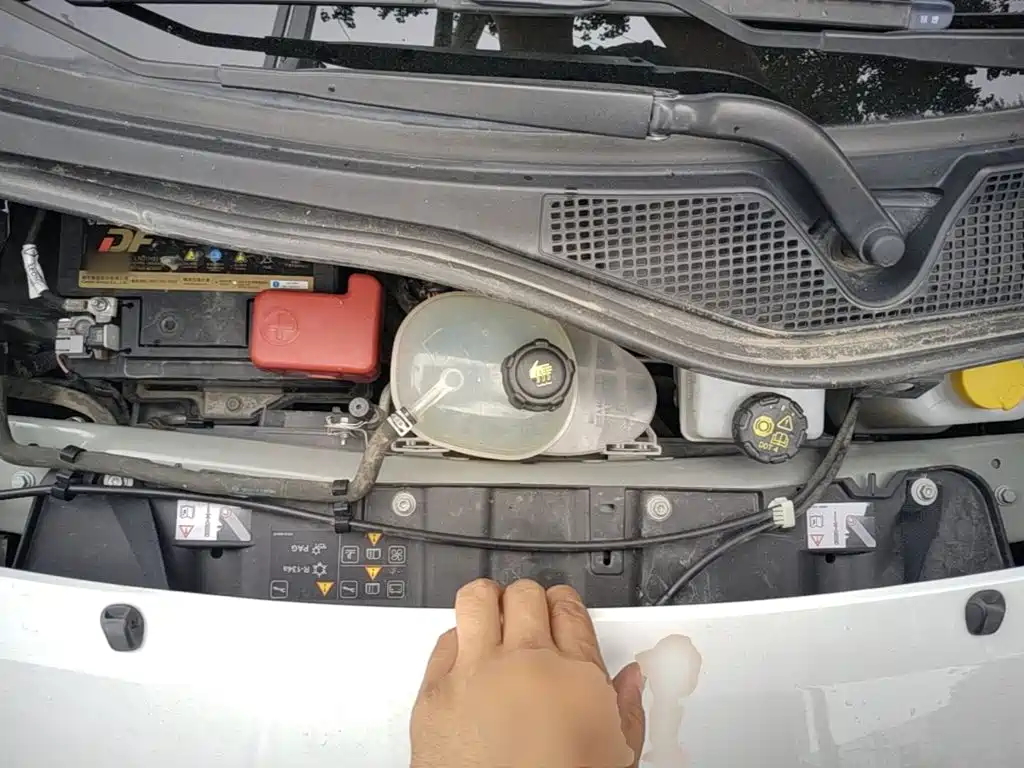 smart forfour 2019 2018 1.0L 52kW Agile Edition