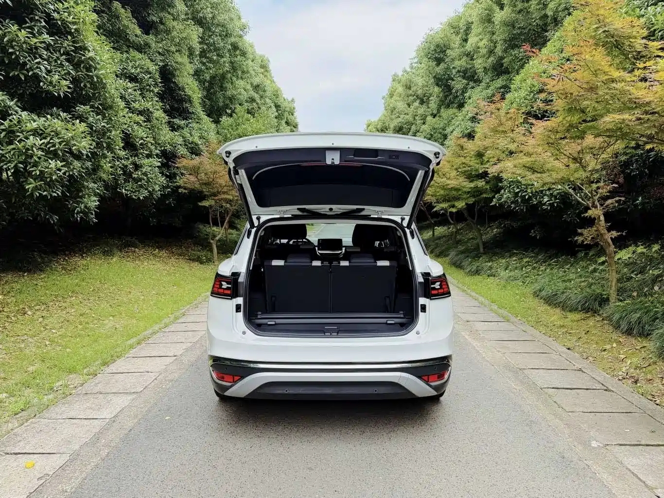 Volkswagen ID.6 CROZZ 2021 Long Range PRO Version фото 6