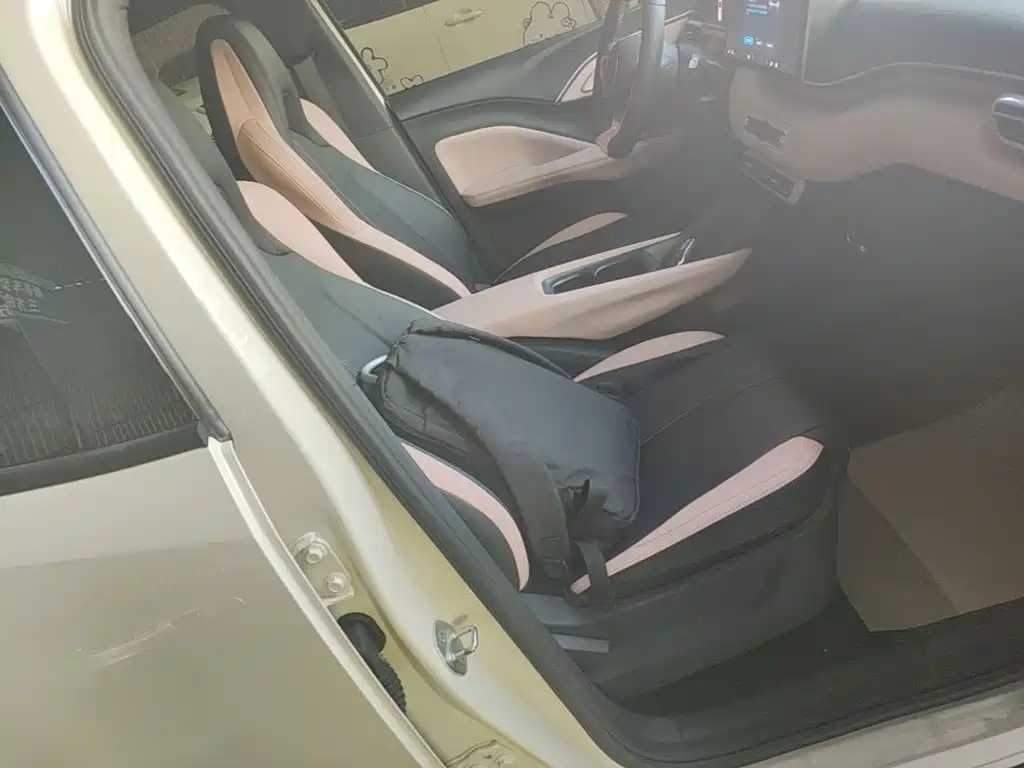 BYD Seagull 2026 2025 Smart Drive Edition 305km Freedom Version