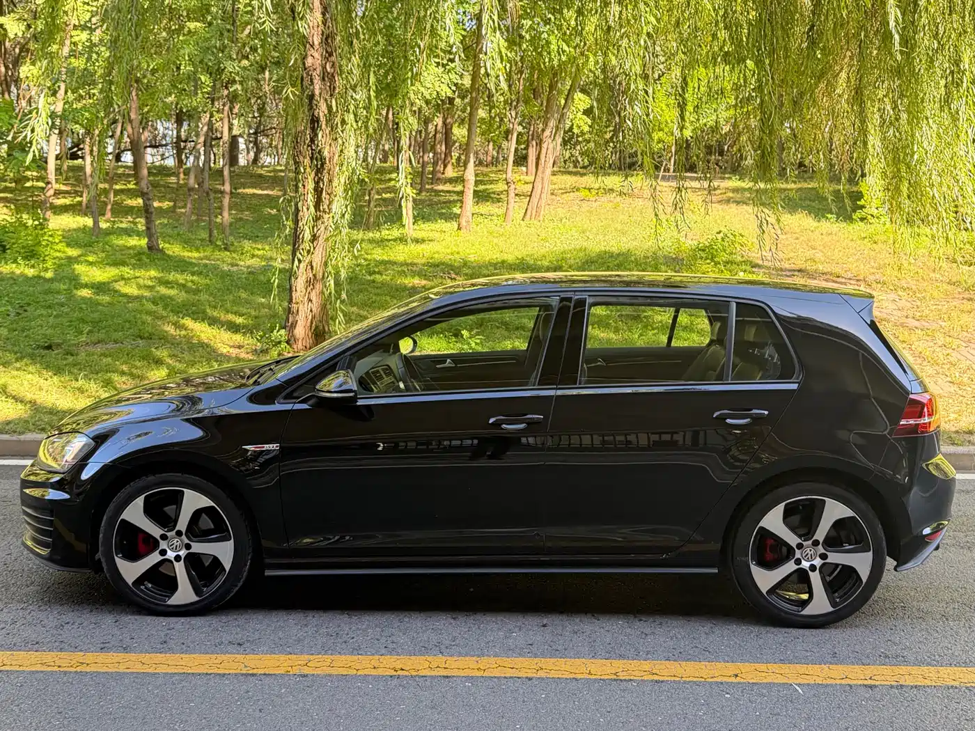 Volkswagen Golf GTI 2016 2016 2.0TSI GTI