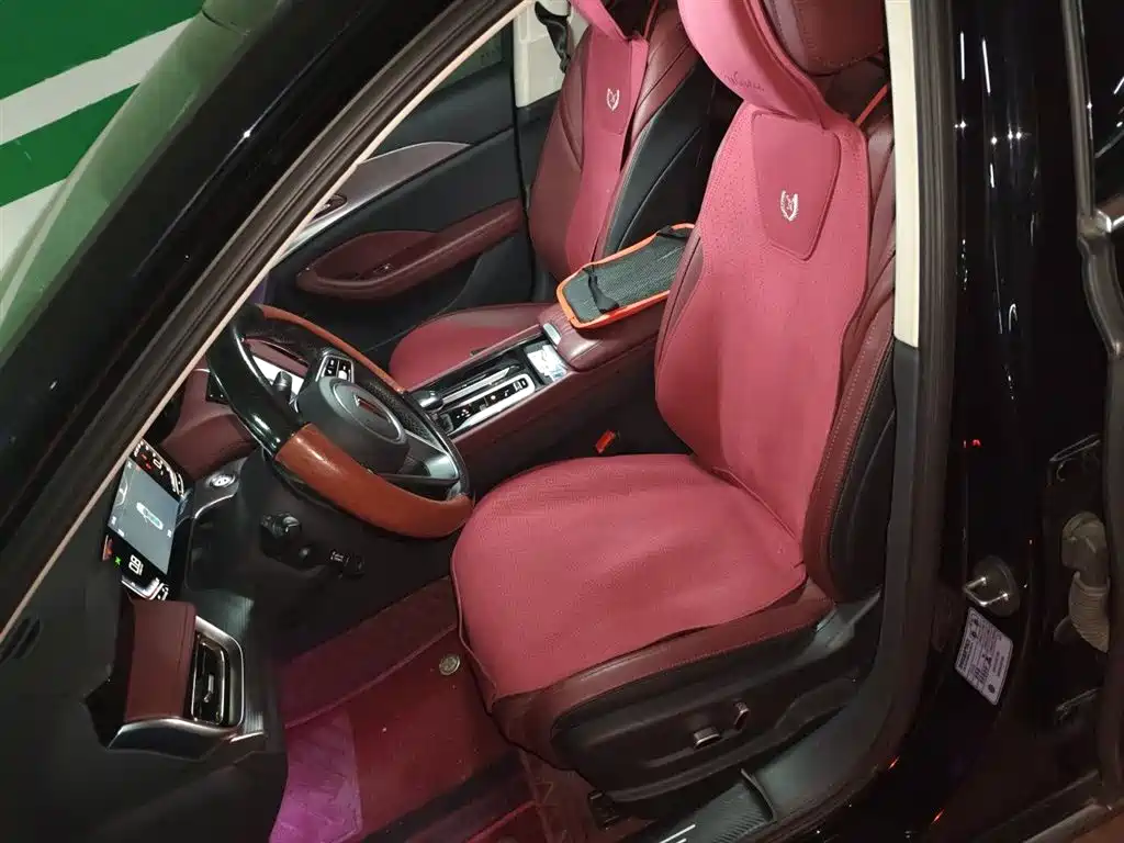 Hongqi H5 2023 2.0T Auto Smart Connect Flag Enjoy фото 8