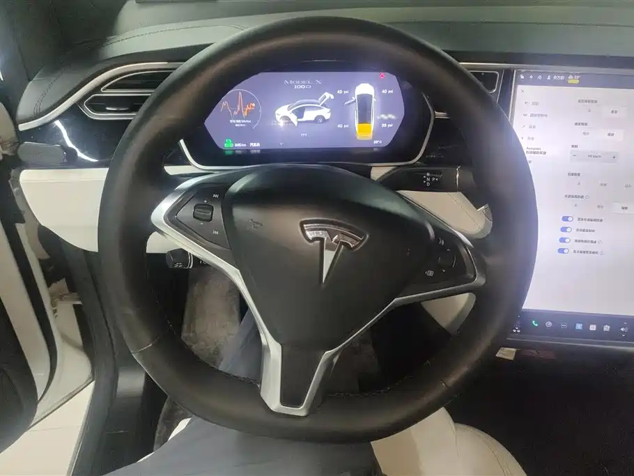 TESLA MODEL X