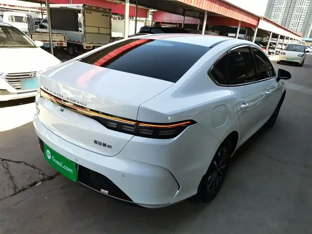 BYD Destroyer 05 2024 Glory Edition DM-i 55KM Luxury фото 7