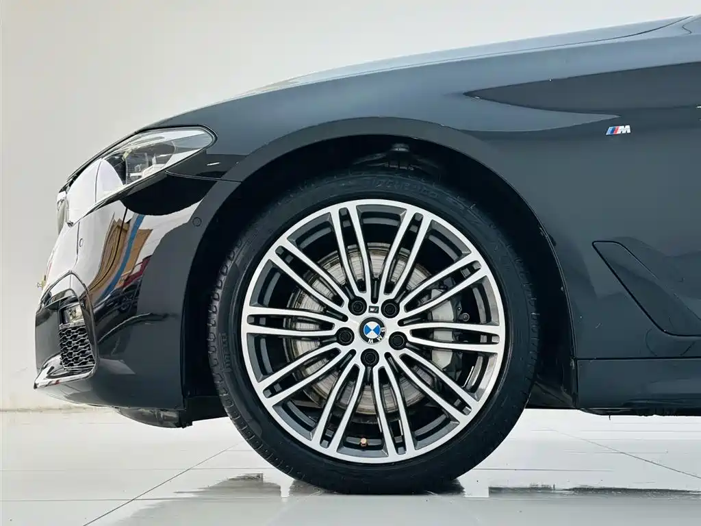BMW 5 Series 2019 530Li Premium M Sport Package фото 9