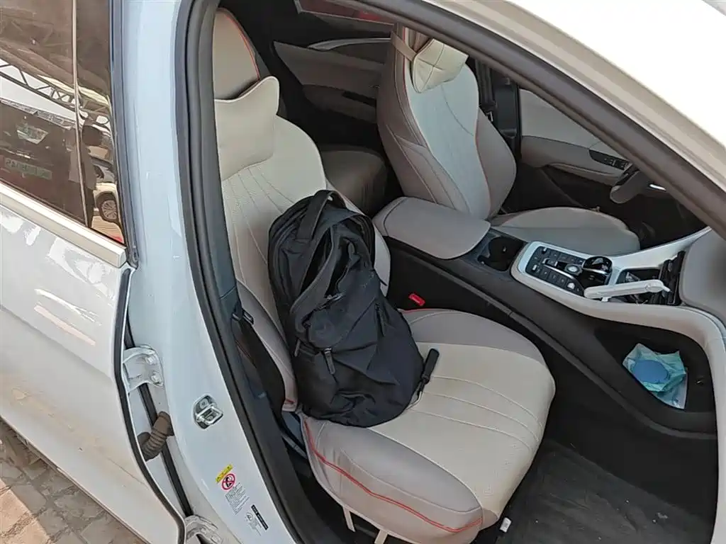 BYD Song Pro New Energy 2024 Glory Edition DM-i 71KM Pilot фото 25