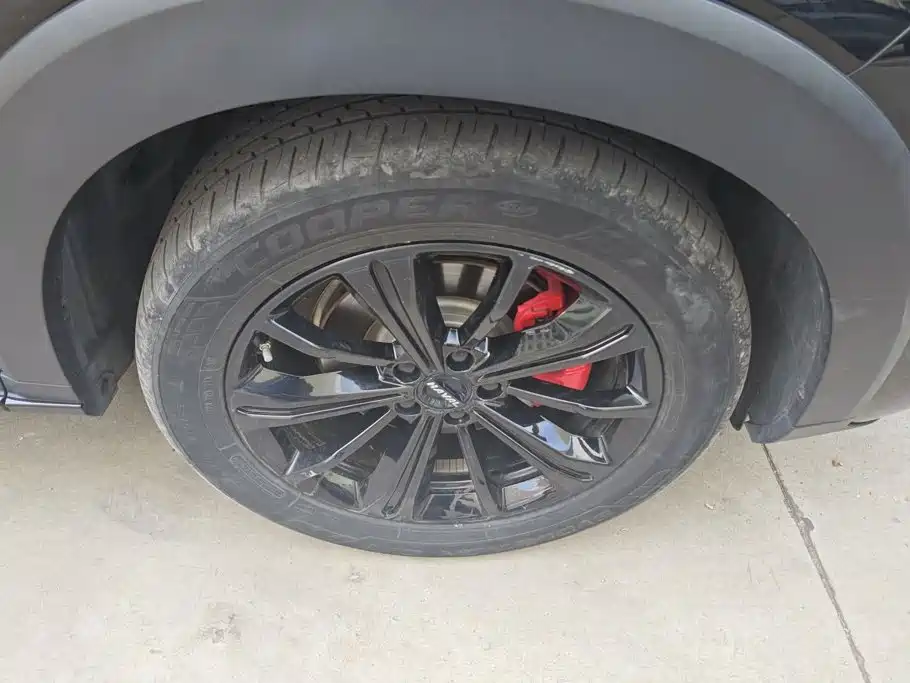 Haval H6S 2022 2022 Model 2.0T 2WD Joy Run Edition