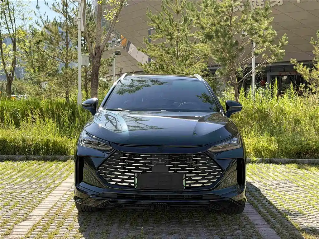 BYD Tang New Energy 2025 2025 DM-i 115KM Prestige Type