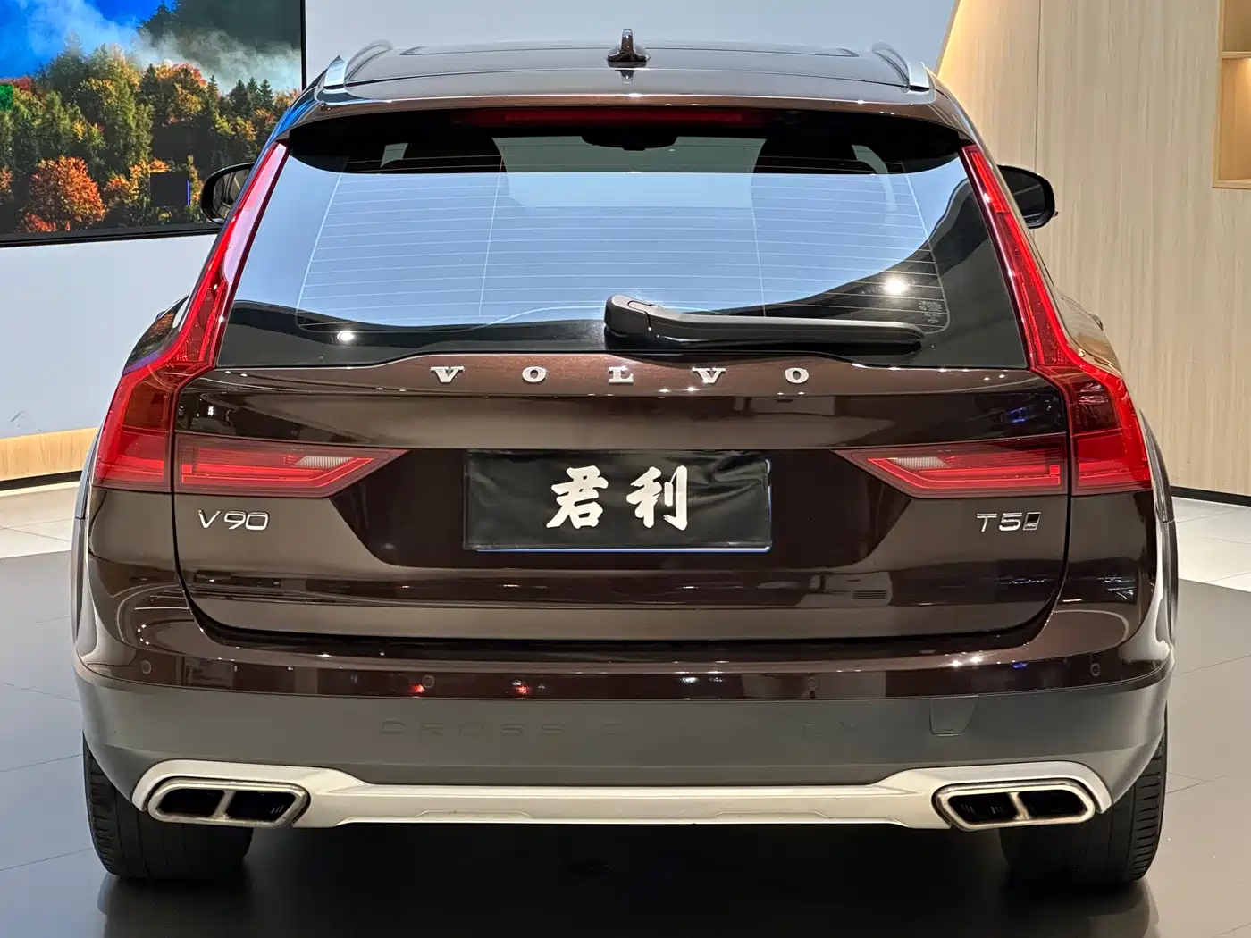 Volvo V90 2019 2019 Cross Country T5 AWD Wisdom Edition (China V)