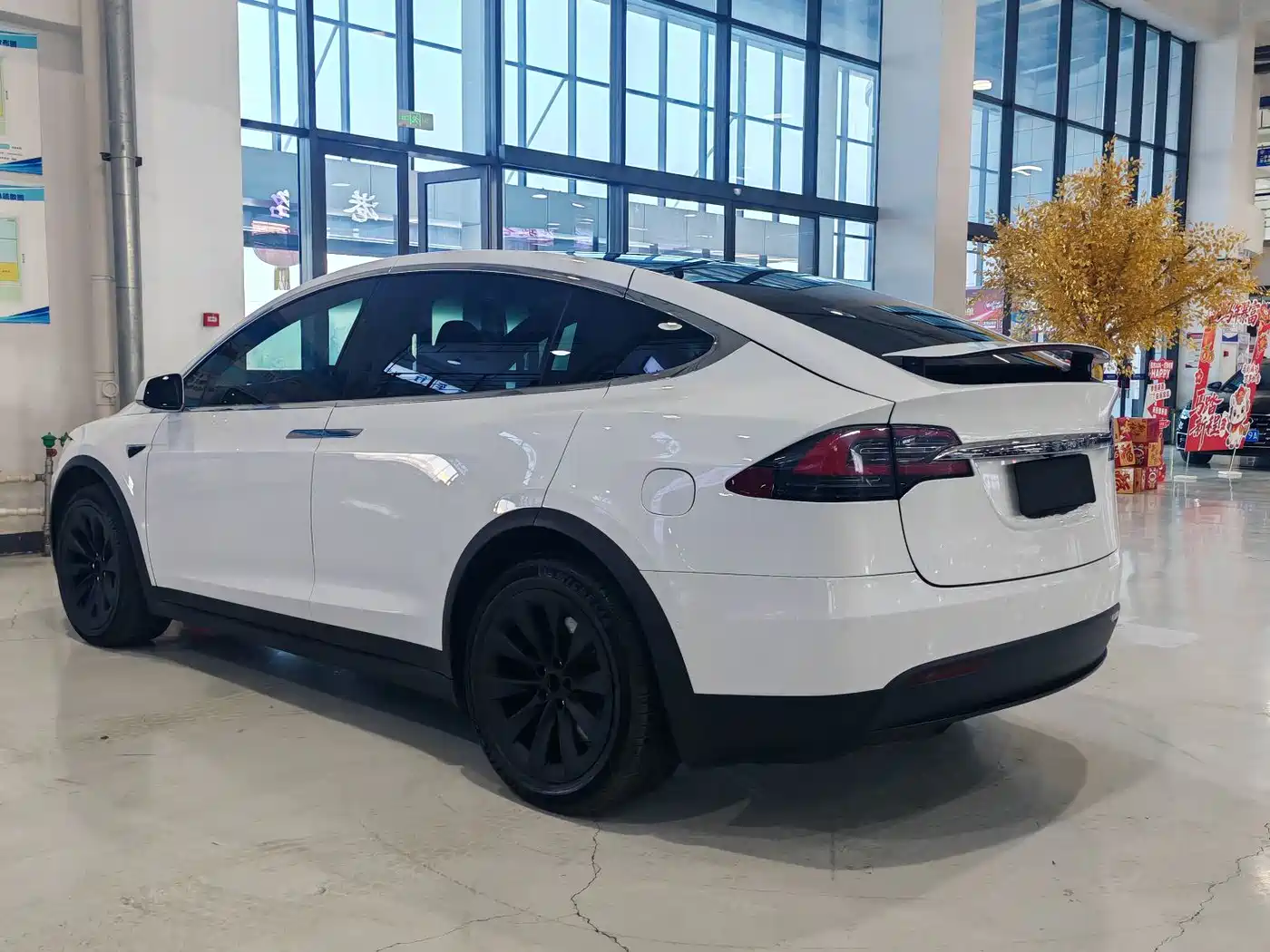 TESLA MODEL X
