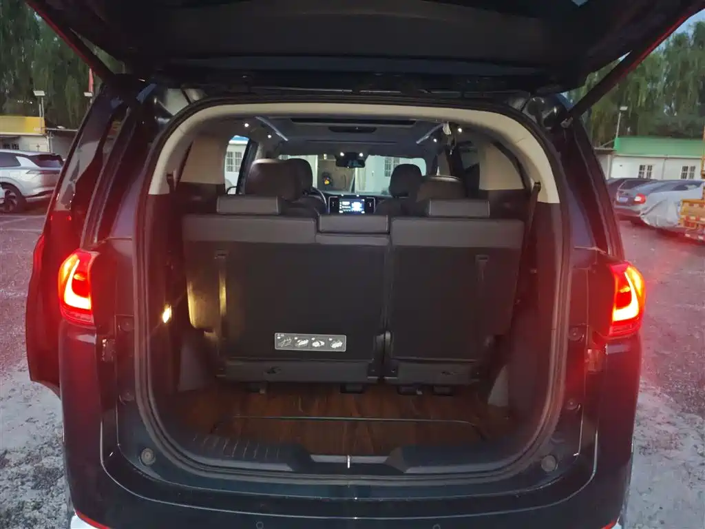 GAC Trumpchi Trumpchi M8 2021 Leading Show Series 390T Ultimate Edition фото 20