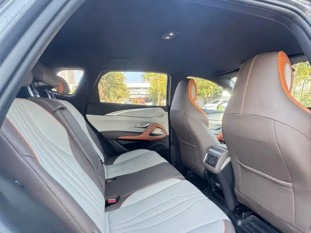 BYD Song Pro New Energy 2022 DM-i 51km Luxury фото 10