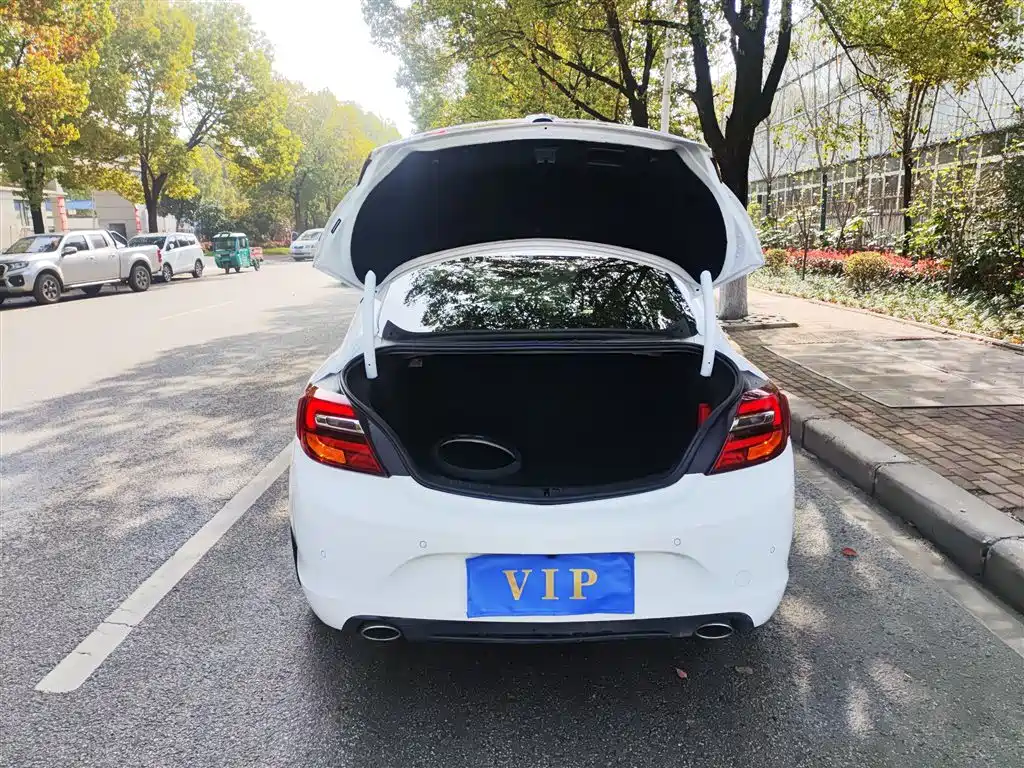 Buick Regal 2015 1.6T Elite Tech Edition фото 19