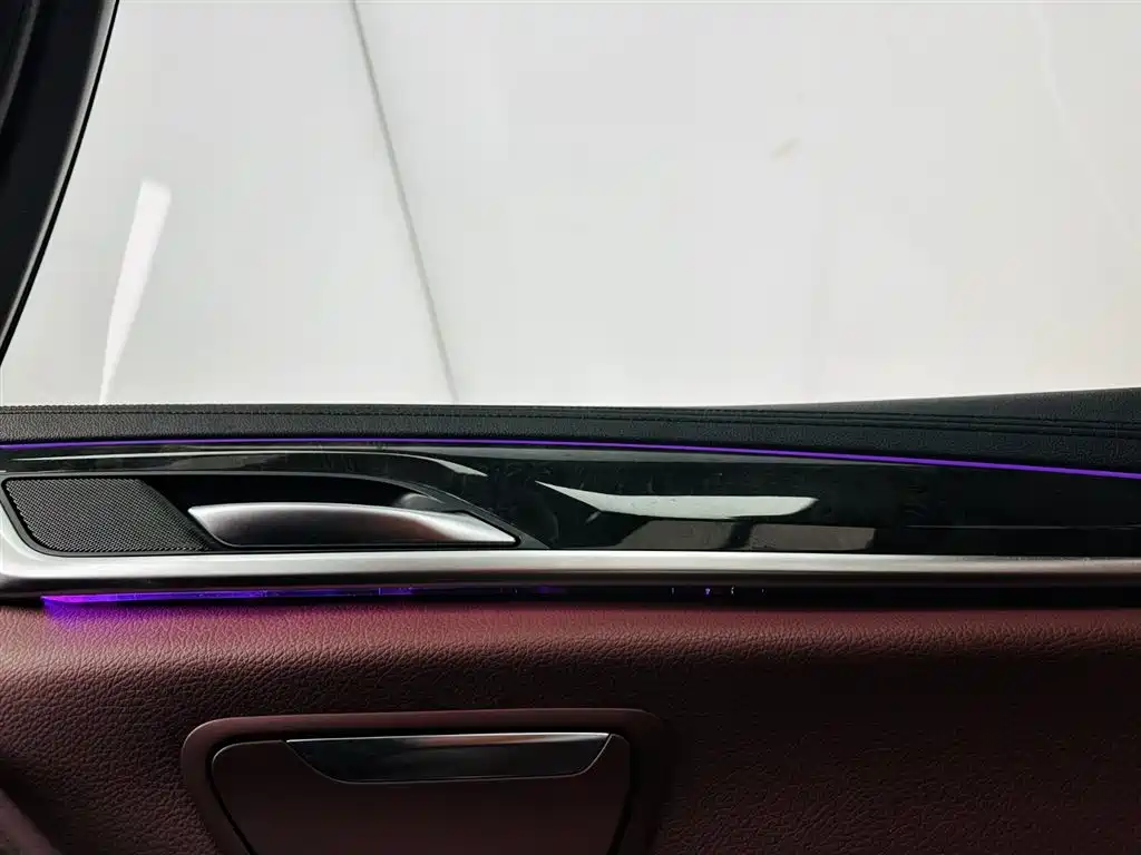 BMW 5 Series 2019 530Li Premium M Sport Package фото 20
