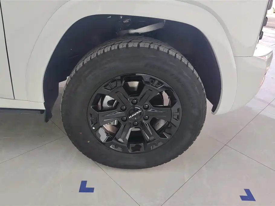 Haval H9 2024 2.0T Gasoline AWD Extreme Edition фото 6