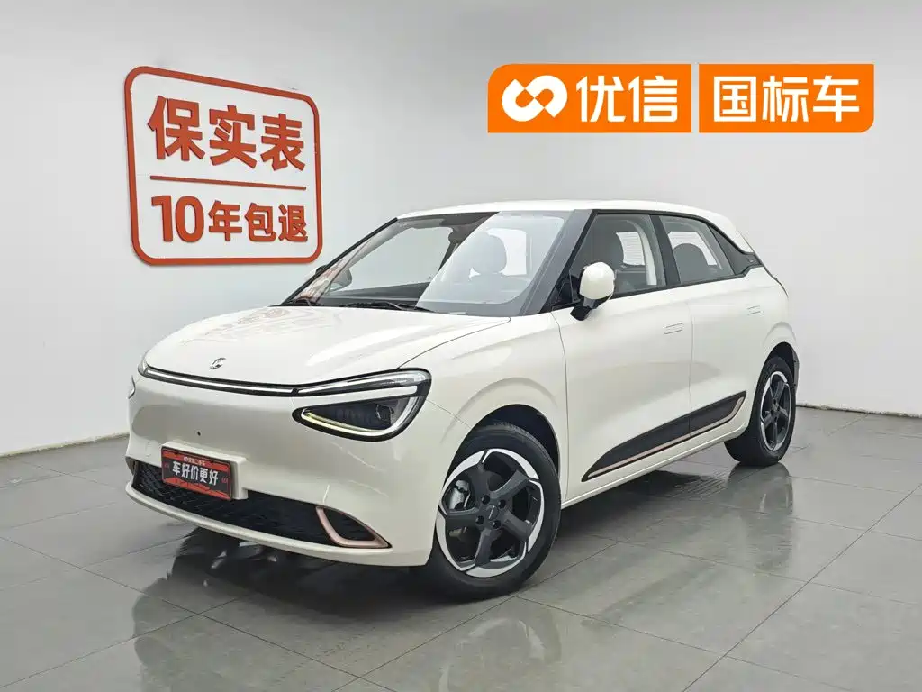 Dongfeng Yipai Nano 01 2025 2024 Renewal Edition 430 Plus Smart+