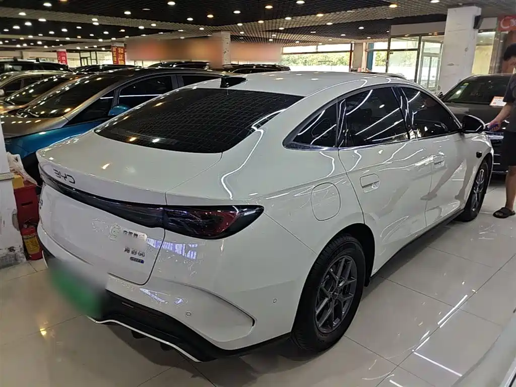 BYD Seal 06 New Energy 2025 DM-i Smart Drive 80KM Luxury фото 7