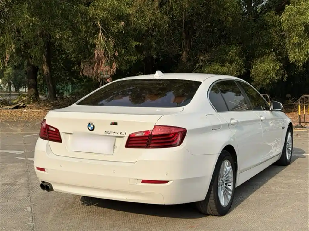 BMW 5 Series 2014 525Li Leading фото 24