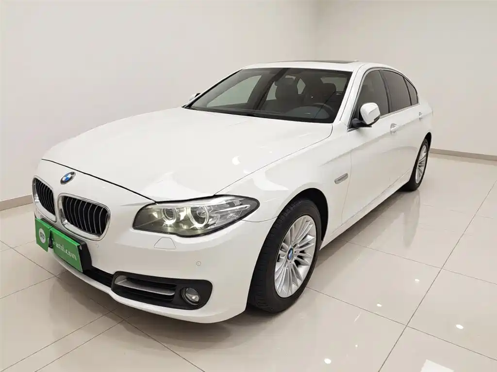 BMW 5 Series 2014 525Li Leading фото 2