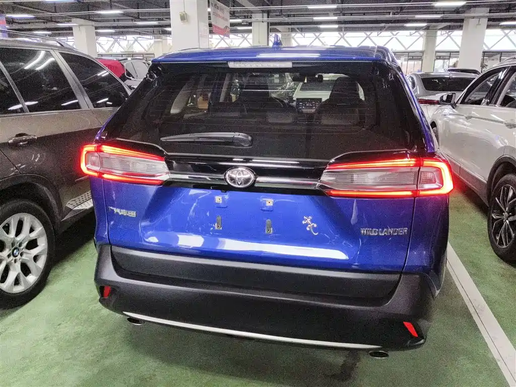 Toyota Wildlander 2020 2.0L CVT 2WD Luxury Edition фото 6
