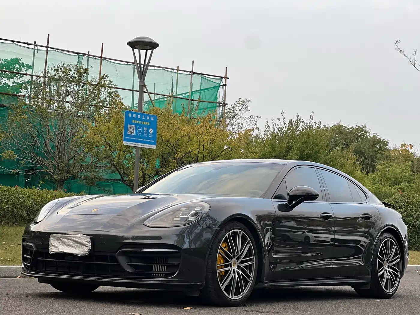 Porsche Panamera 2020 Panamera 10th Anniversary Edition 2.9T