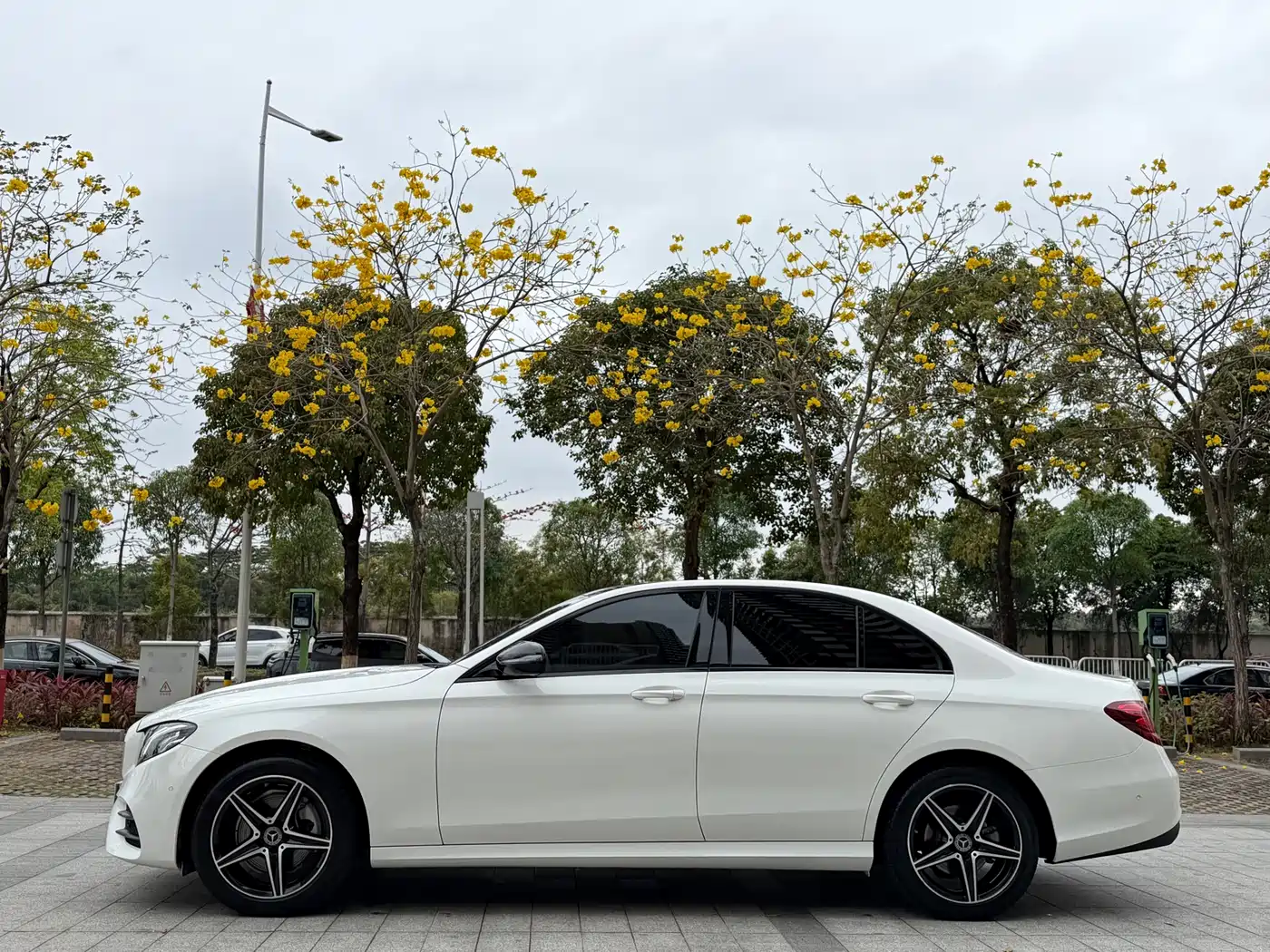 Mercedes-Benz E-Class (Import) 2020 E 260 Sport фото 13