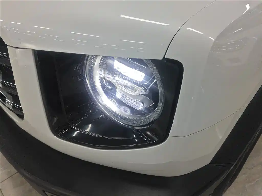 Haval Big Dog 2021 2.0T DCT 4WD Chinese Rural Dog Edition фото 15
