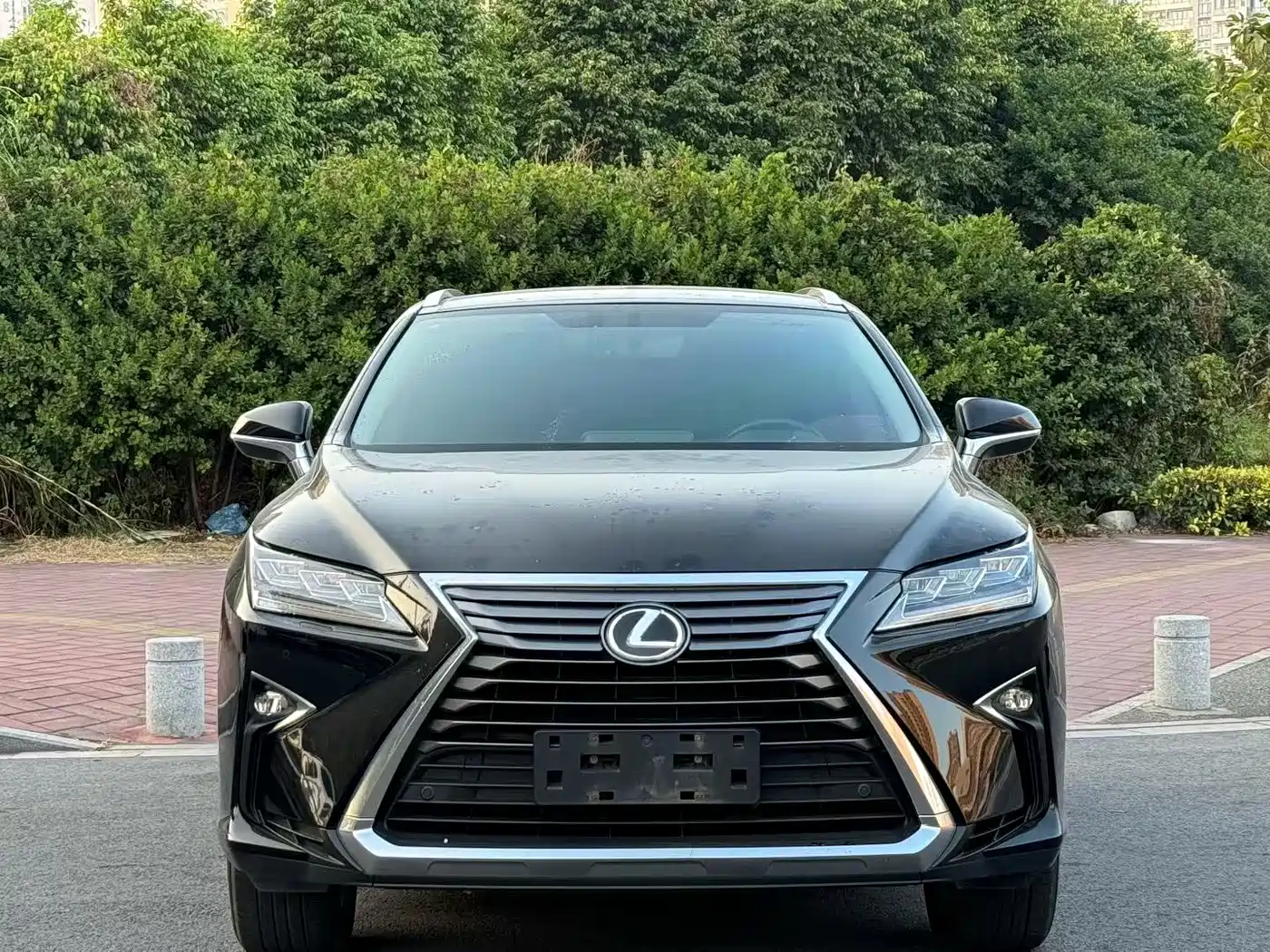Lexus RX 2016 300 4WD Elegance Edition (China V) фото 2