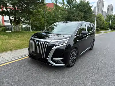 Denza D9