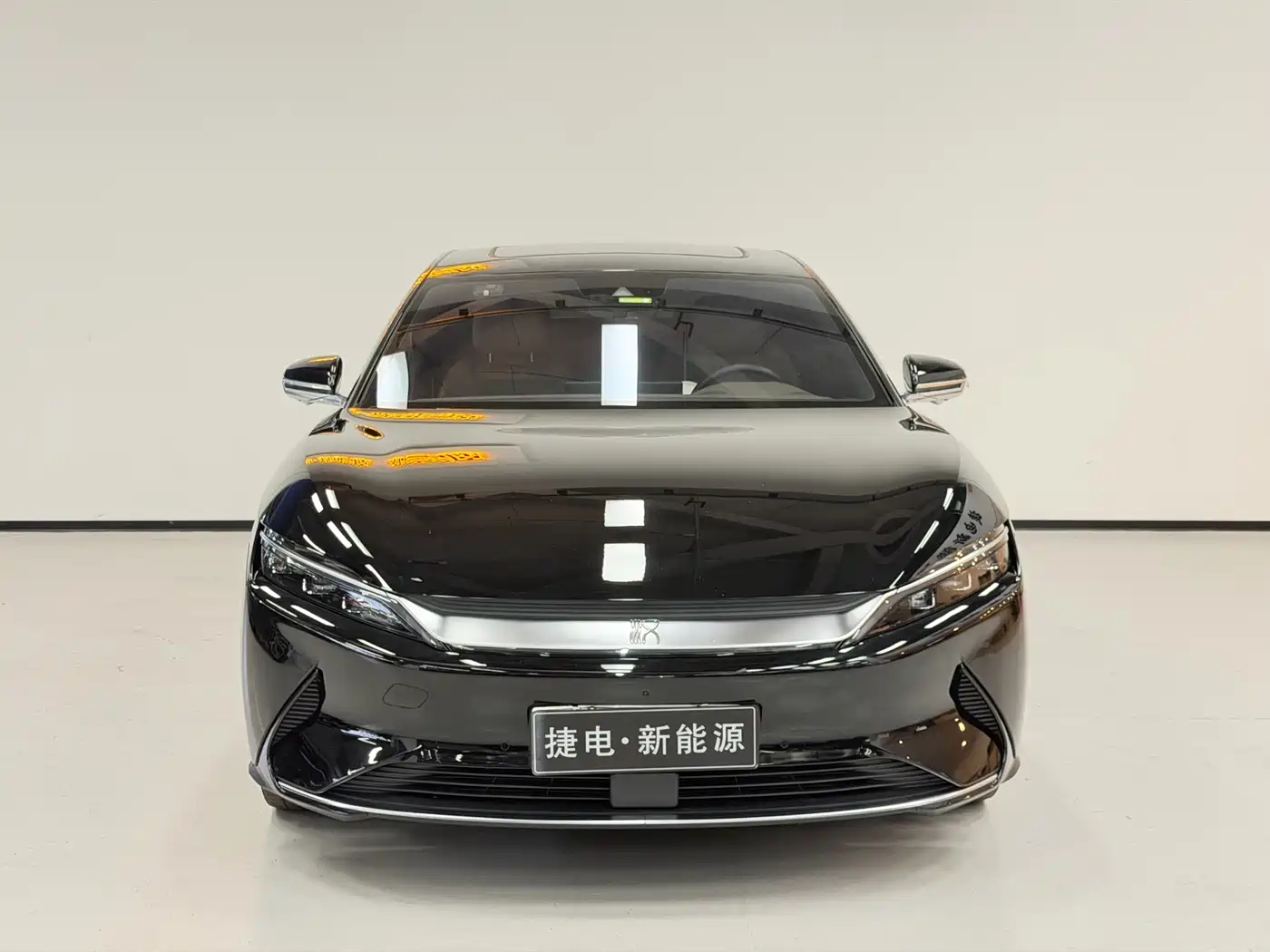 BYD Han 2021 EV Standard Range Luxury фото 2