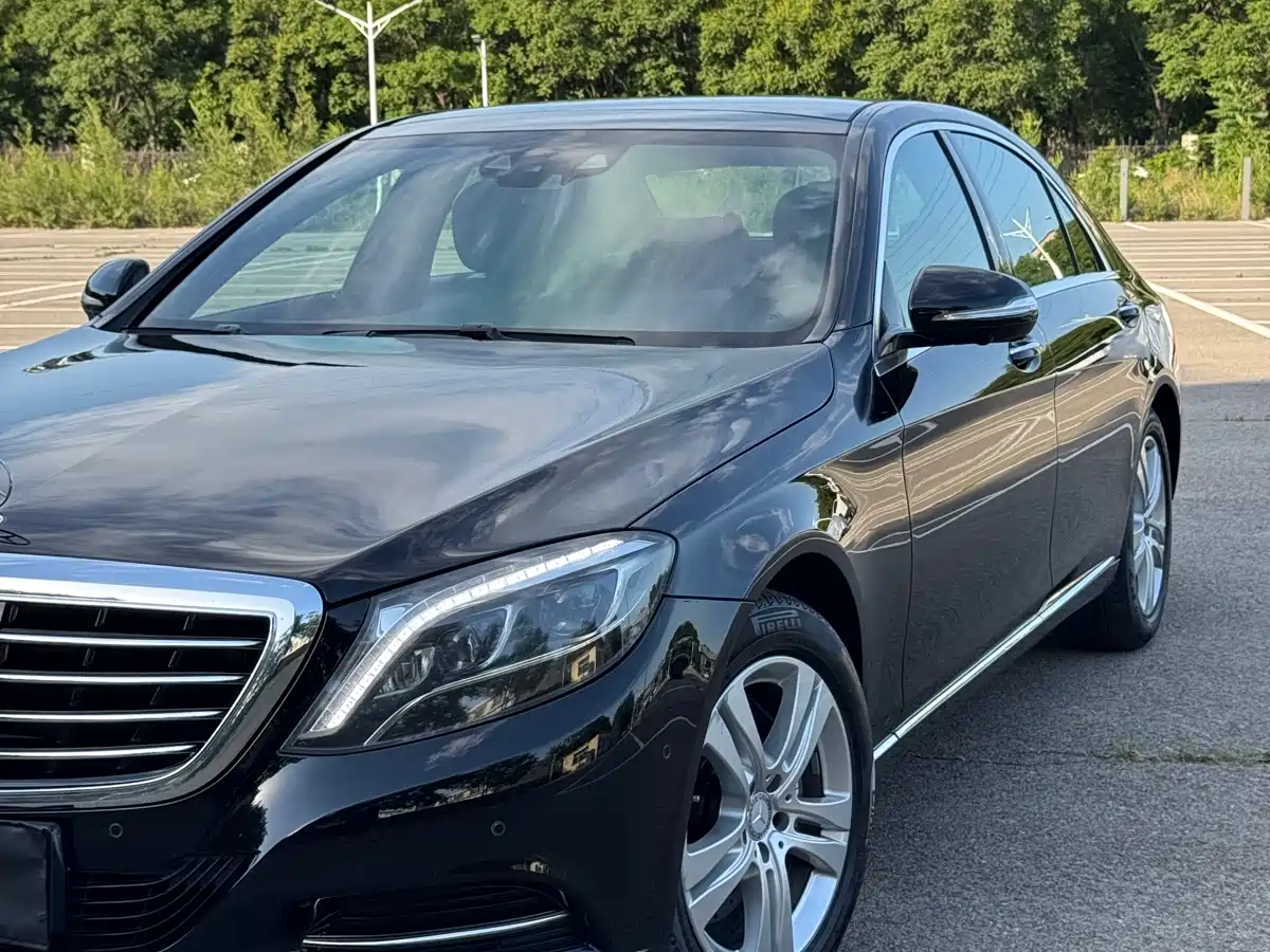 Mercedes-Benz S-Class 2017 S 320 L Luxury фото 8