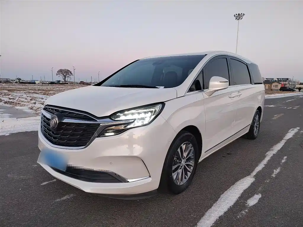 Buick GL8 2021 ES Landlord 653T Premium фото 3