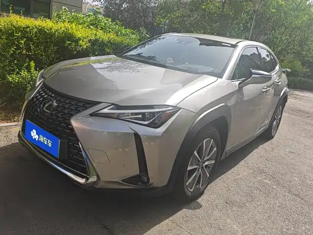  Lexus Lexus UX Electric 2020 300e Pure Yue Edition