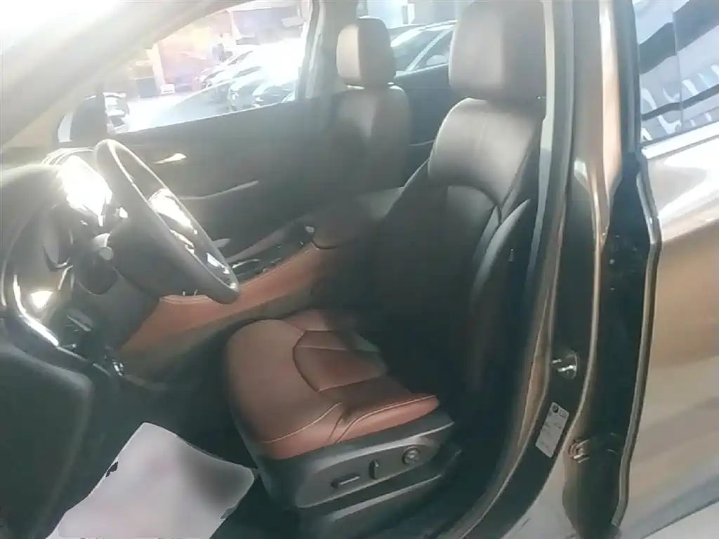 Buick Envision Plus 2018 20T 2WD Luxury фото 15