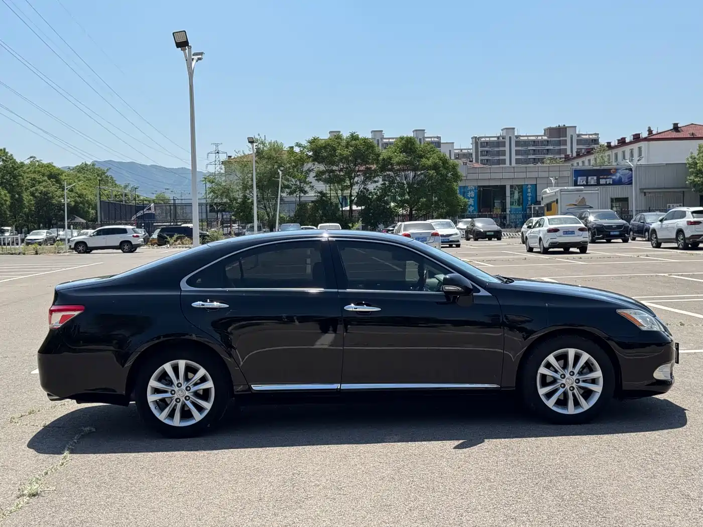 Lexus ES 2010 240 Luxury Edition фото 8