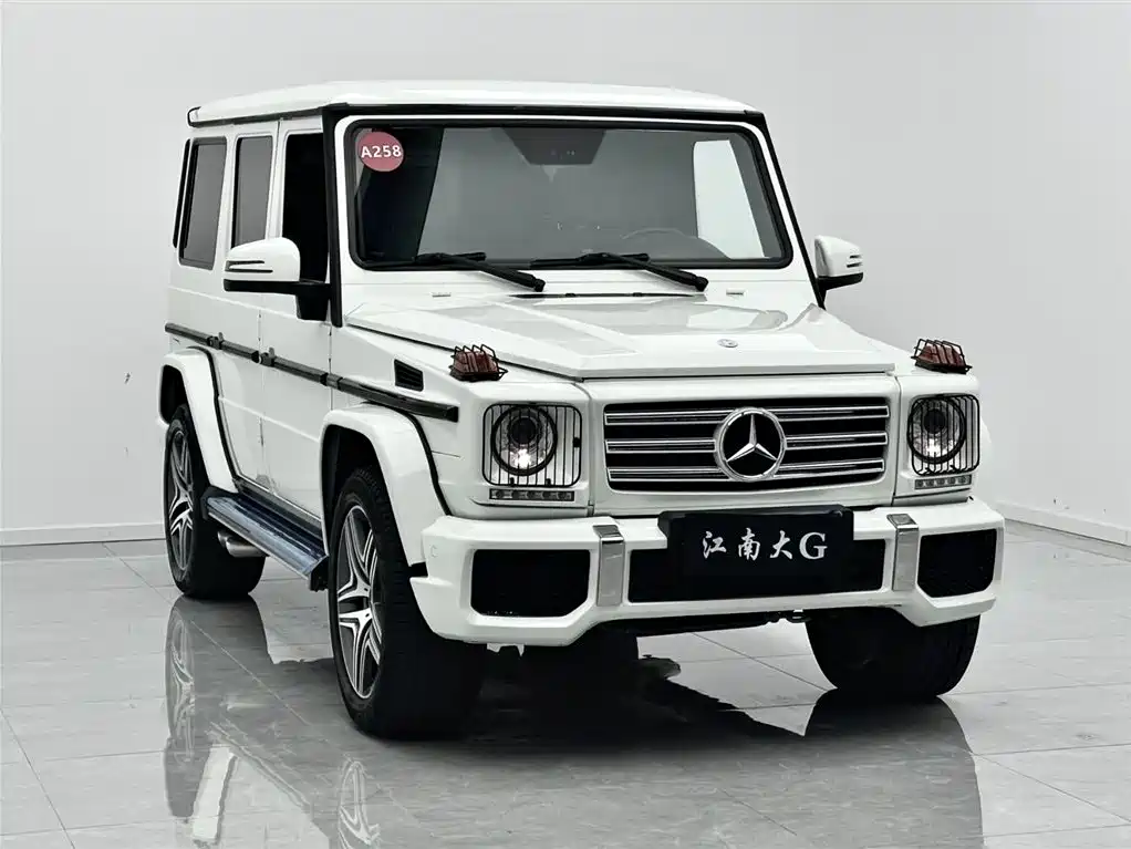 Mercedes-Benz G-Class AMG 2009 AMG G 55 фото 3